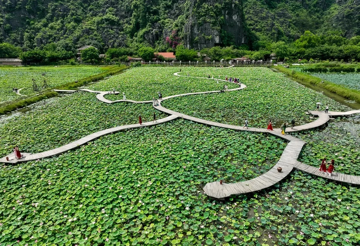 6h00-7h00-Khai-thac-thoi-diem-vang-tai-ho-sen-hinh-trai-tim-1