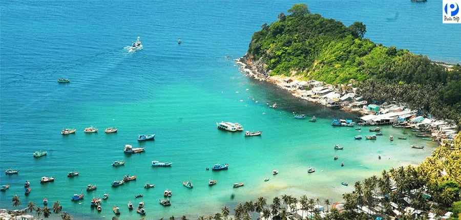 bai-cay-men-nam-du