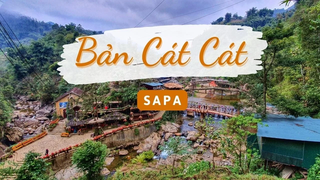ban-cat-cat