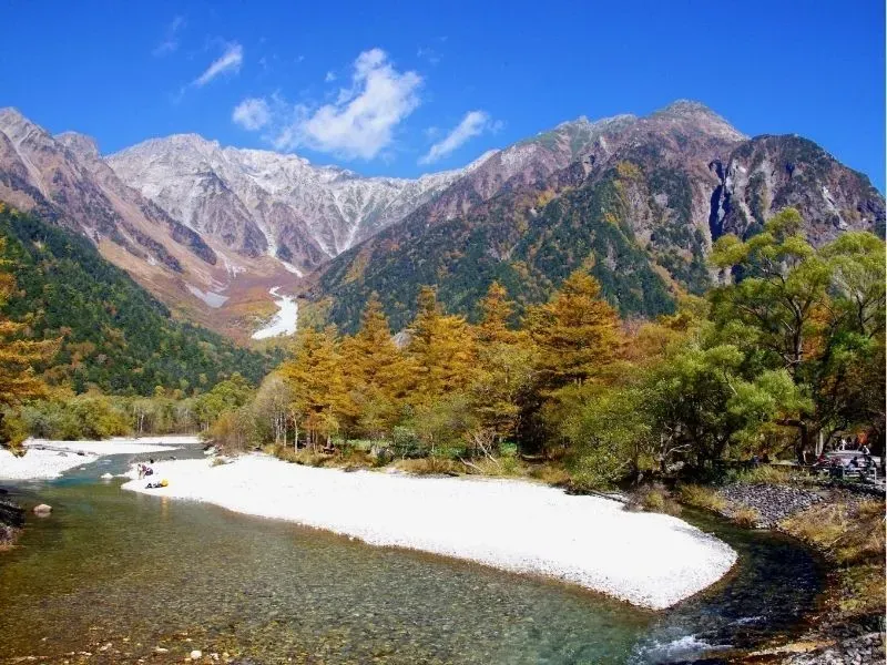tai-sao-phe-travel-la-lua-chon-hang-dau-cho-tour-cung-duong-vang-nhat-ban