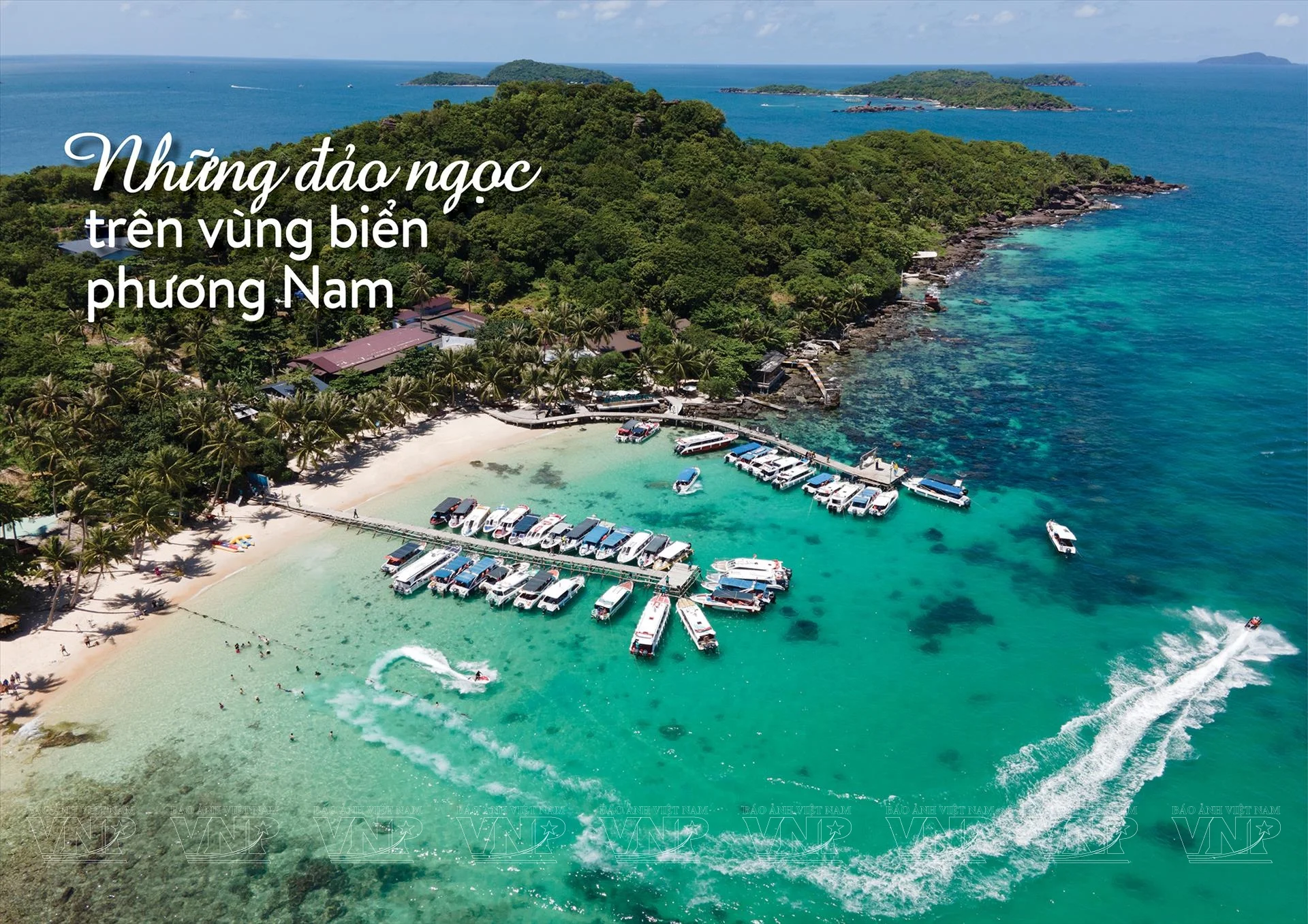 Dao-Ngoc