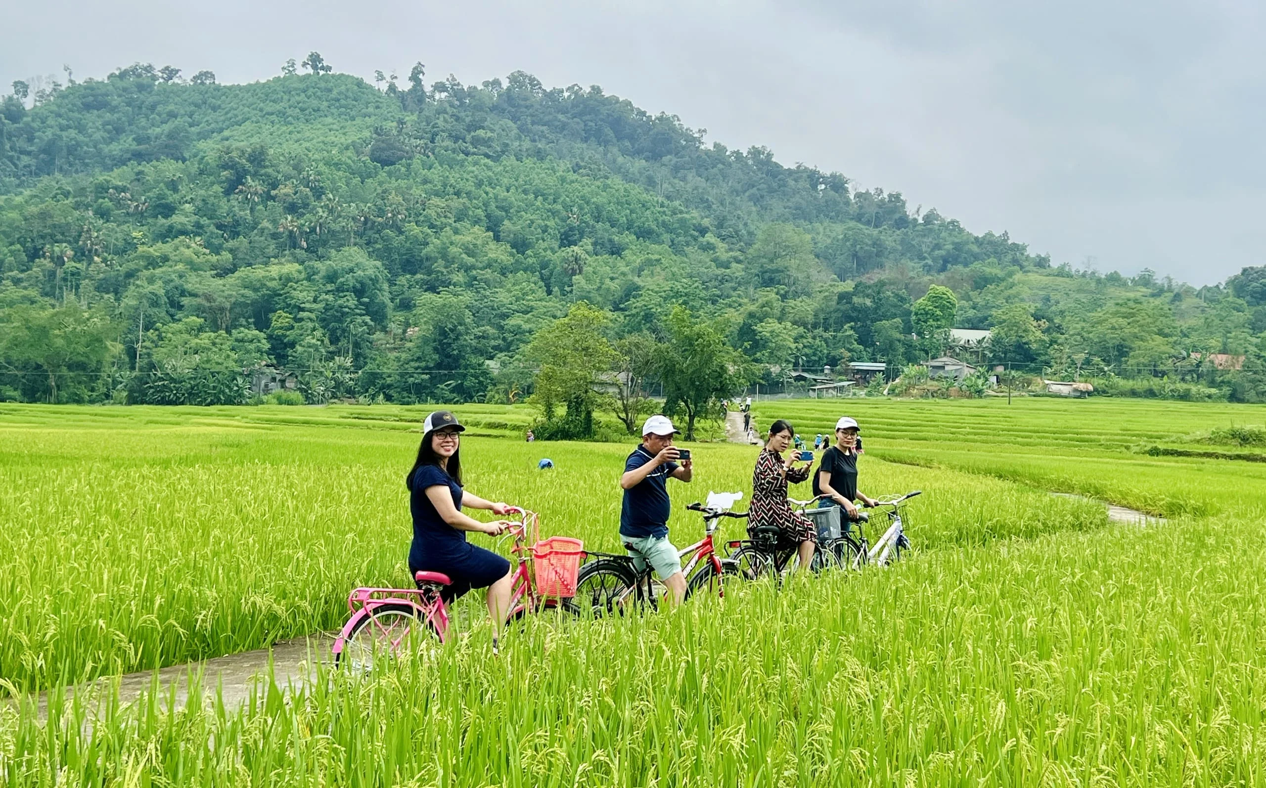 Dap-xe-giua-dong-lua-–-Trai-nghiem-rang-ro-cho-tre-nho (1)