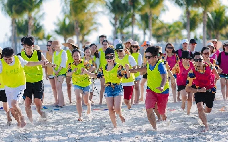 Team building Đồ Sơn: Địa điểm, các hoạt động, chi phí, kinh nghiệm và đơn vị tổ chức