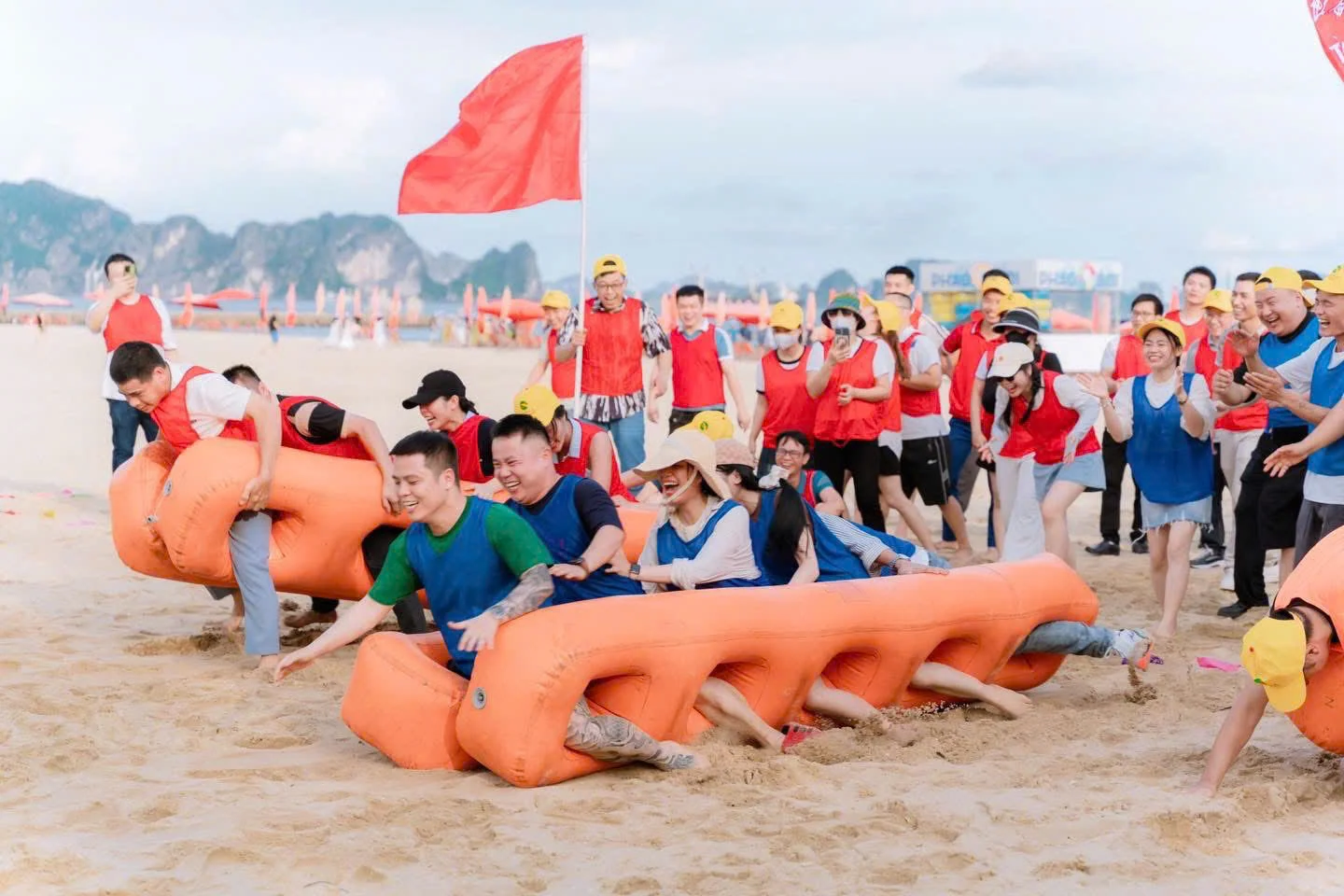 Team building Đồ Sơn: Địa điểm, các hoạt động, chi phí, kinh nghiệm và đơn vị tổ chức
