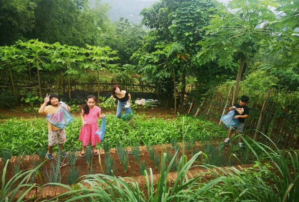 Khu nghỉ dưỡng gần Hà Nội