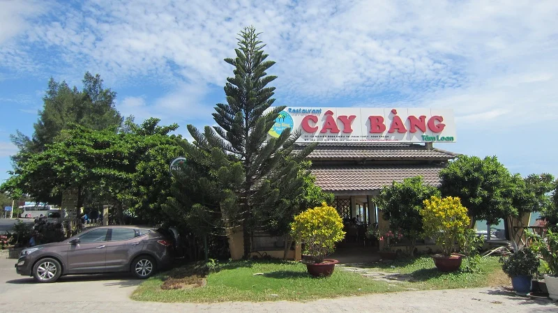 Hai-San-Cay-Bang