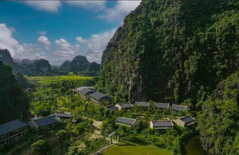 hoa-lu-1