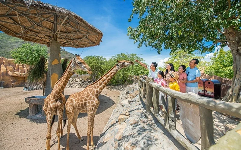Cập nhật giá vé VinWonders Nha Trang 2026 & Gợi ý các Combo tiết kiệm nhất cho gia đình