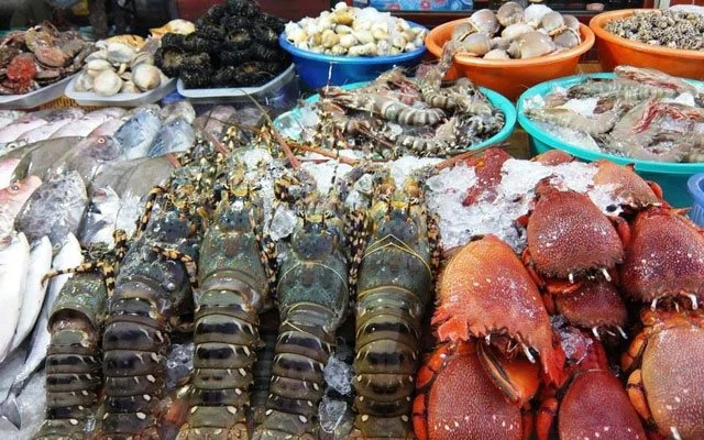 mach-ban-nhung-mon-an-ngon-khong-tuong-o-ha-long2