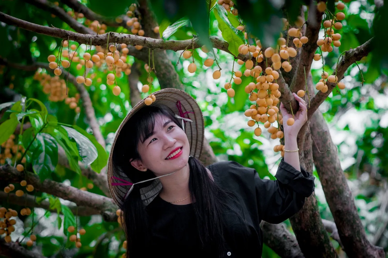 Miệt vườn Cái Bè