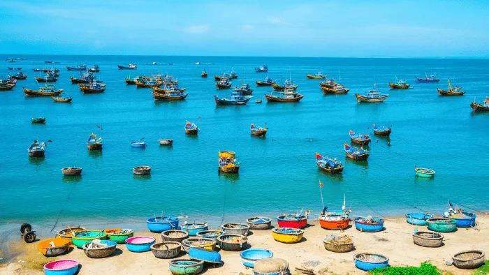 optimize_lang-chai-phan-thiet-1