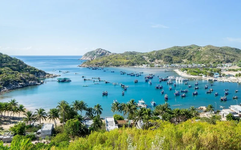 Tai-sao-viec-kham-pha-am-thuc-ben-ngoai-Hoan-My-Resort-Ninh-Chu-lai-mang-den-trai-nghiem-rang-ro