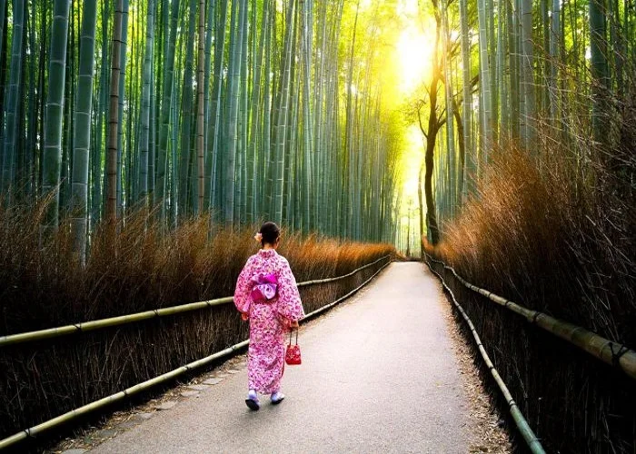 rung-truc-arashiyama