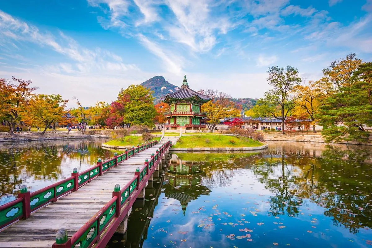 tour-du-lich-nhat-ban-5-ngay-4-dem-ha-noi-tokyo-phu-si-4