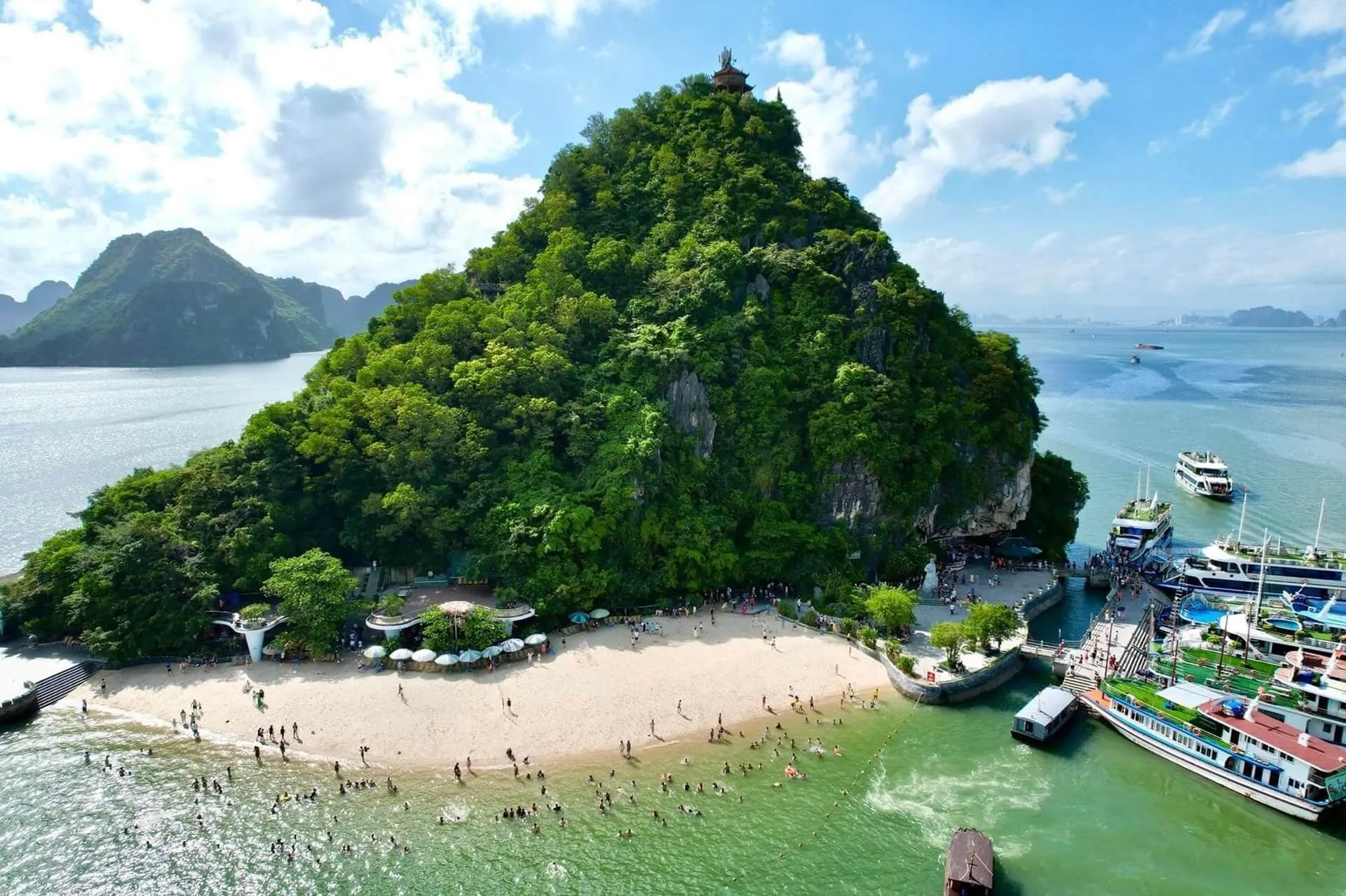 dao-titop