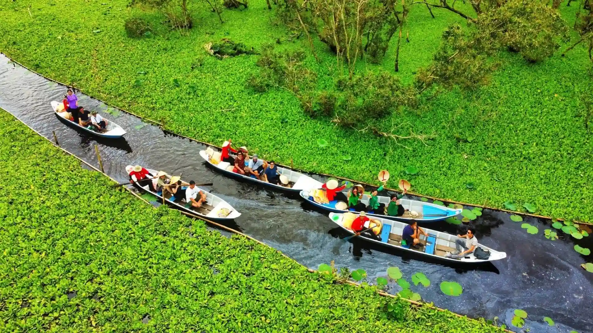 vi-sao-rung-tram-tra-su-diem-den-noi-bat-an-giang-nu-cuoi-me-kong