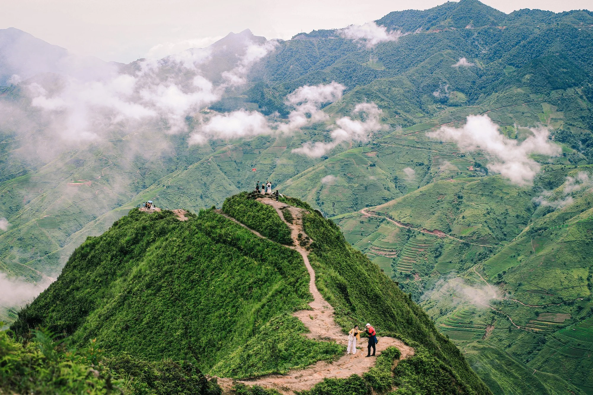 32a22bcaebc774bde2dc6