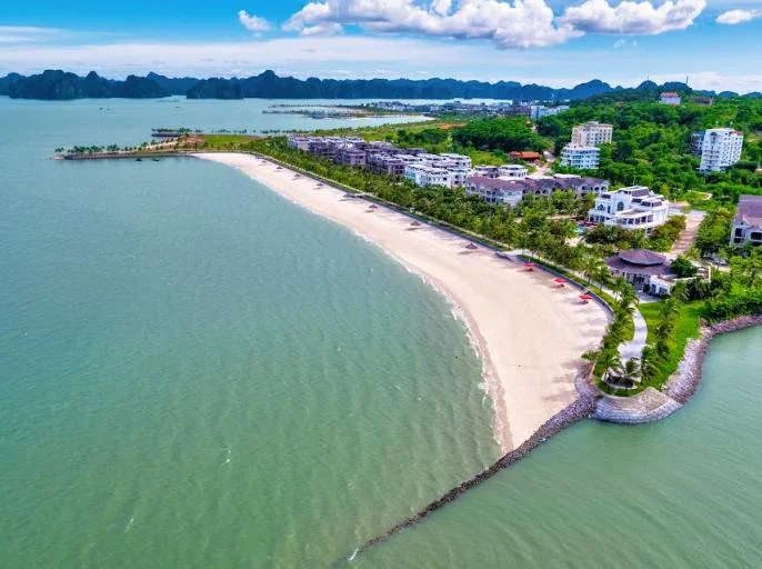 Paradise Suite Tuần Châu: Vị trí, tiện ích, giá bán, kinh nghiệm đặt phòng và đơn vị uy tín