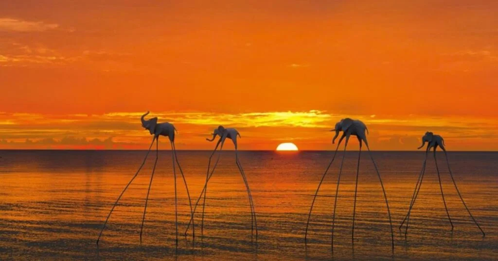 bai-truong-phu-quoc-1-1024x538