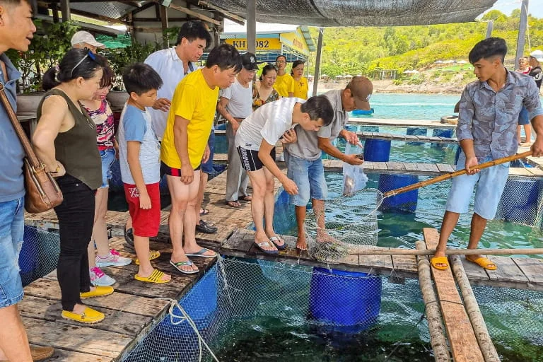 Tour Vịnh San Hô - Làng Chài - Bãi Tắm 1 ngày: Lịch trình, điểm nổi bật, giá bán, kinh nghiệm du lịch & đơn vị uy tín
