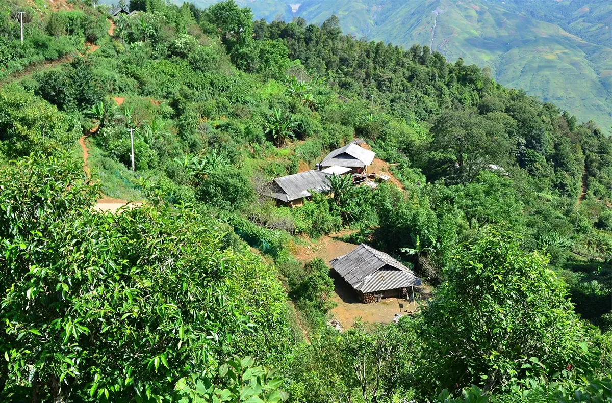 cac-nep-nha-ban-be-binh-yen-voi-bao-quanh-la-traanh-ly-17729751420921868864614