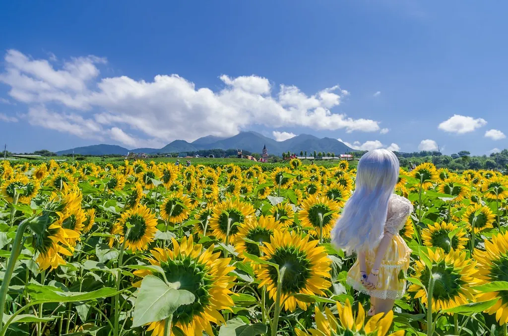 tai-sao-nen-chon-phe-travel-cho-hanh-trinh-chinh-phuc-nuoc-nhat-cua-ban