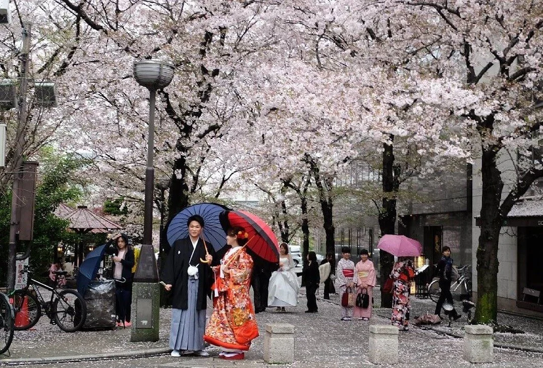 tai-sao-nen-lua-chon-dich-vu-lu-hanh-cua-phe-travel-cho-chuyen-di-cua-ban