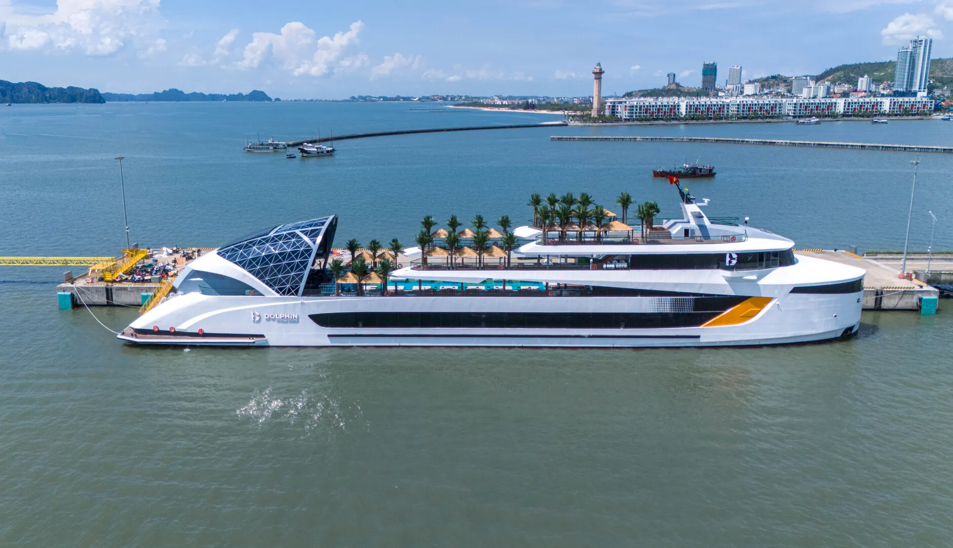 du-thuyen-dolphin-cruise-1