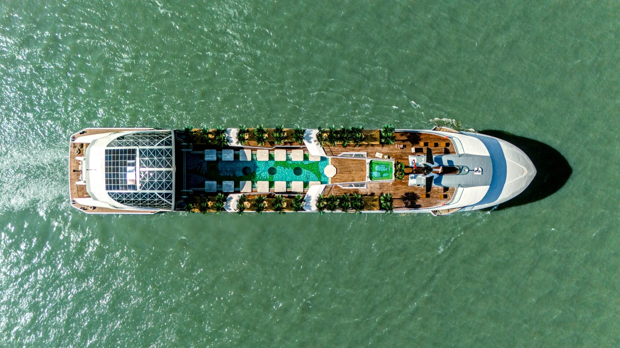 du-thuyen-dolphin-cruise-so-huu-nhung-dac-diem-dang-cap-gi-noi-bat