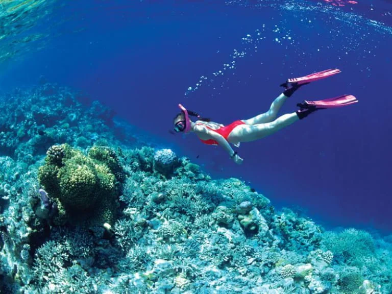 Tour Vịnh San Hô - Làng Chài - Bãi Tắm 1 ngày: Lịch trình, điểm nổi bật, giá bán, kinh nghiệm du lịch & đơn vị uy tín