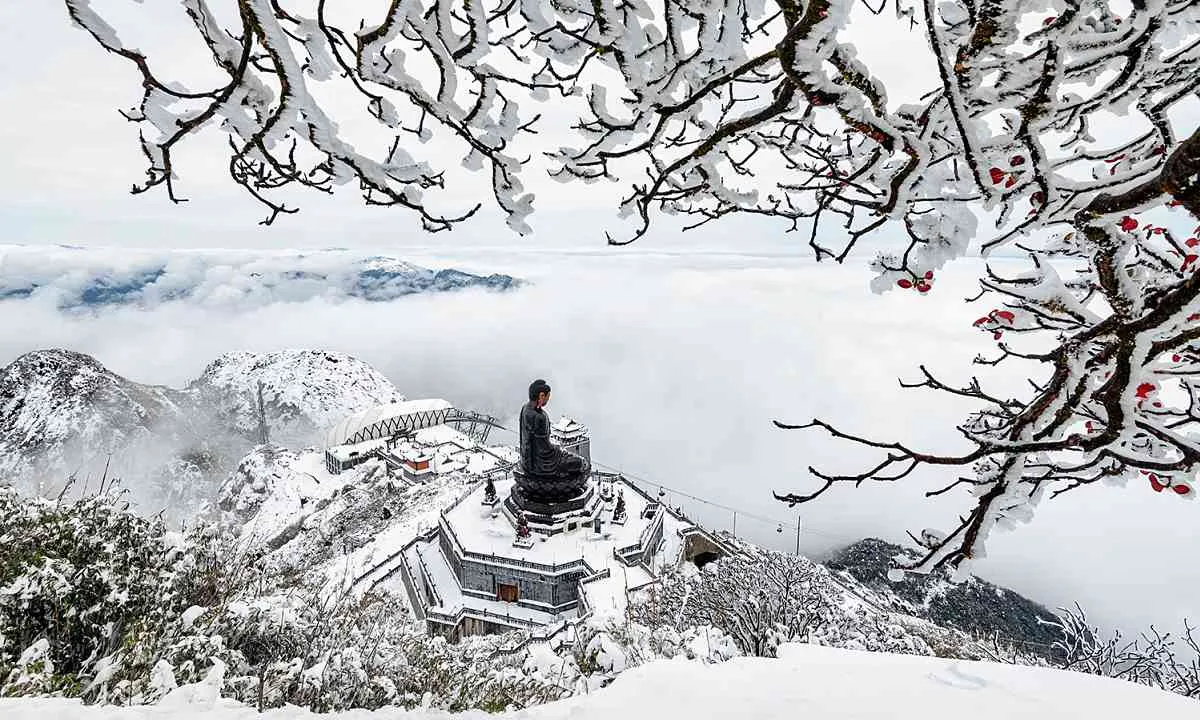 tai-sao-phe-travel-lai-so-huu-loi-the-canh-tranh-tuyet-doi-khi-to-chuc-tour-sapa