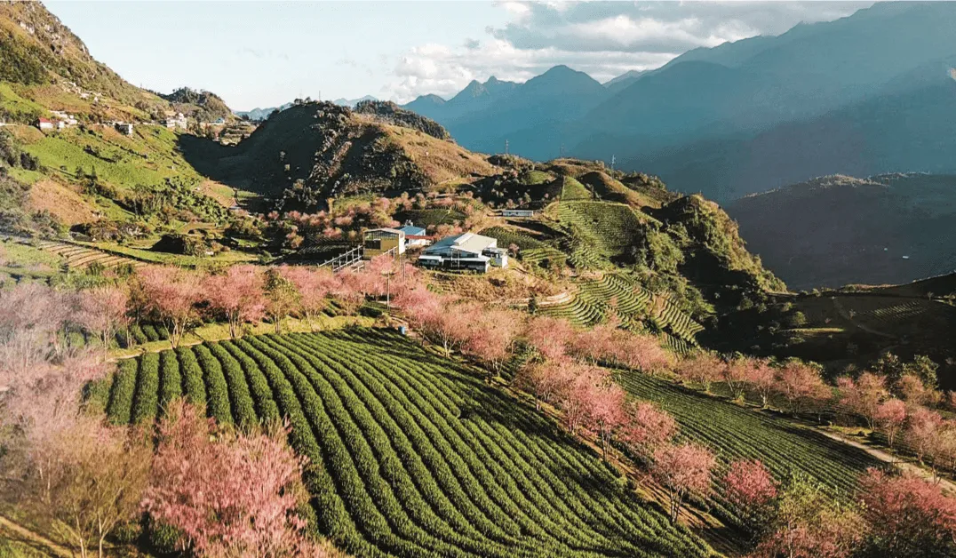 thoi-tiet-sapa-bien-chuyen-dieu-ky-4-mua-trong-nam-mang-lai-nhung-net-dep-dac-trung-nao