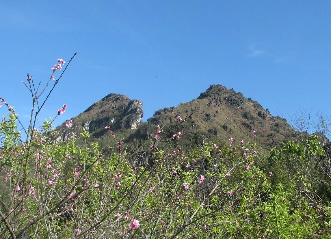 Tour sapa 2 ngày 1 đêm từ Hà Nội: Lịch trình, điểm nổi bật, giá bán, kinh nghiệm du lịch & đơn vị uy tín