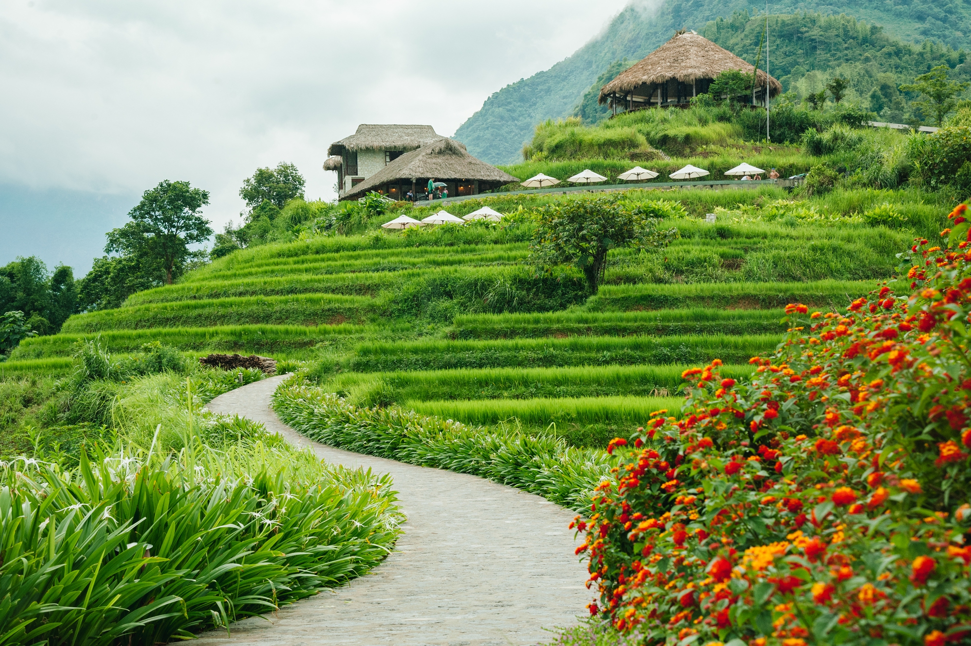 tam-nhin-huong-ruong-bac=thang