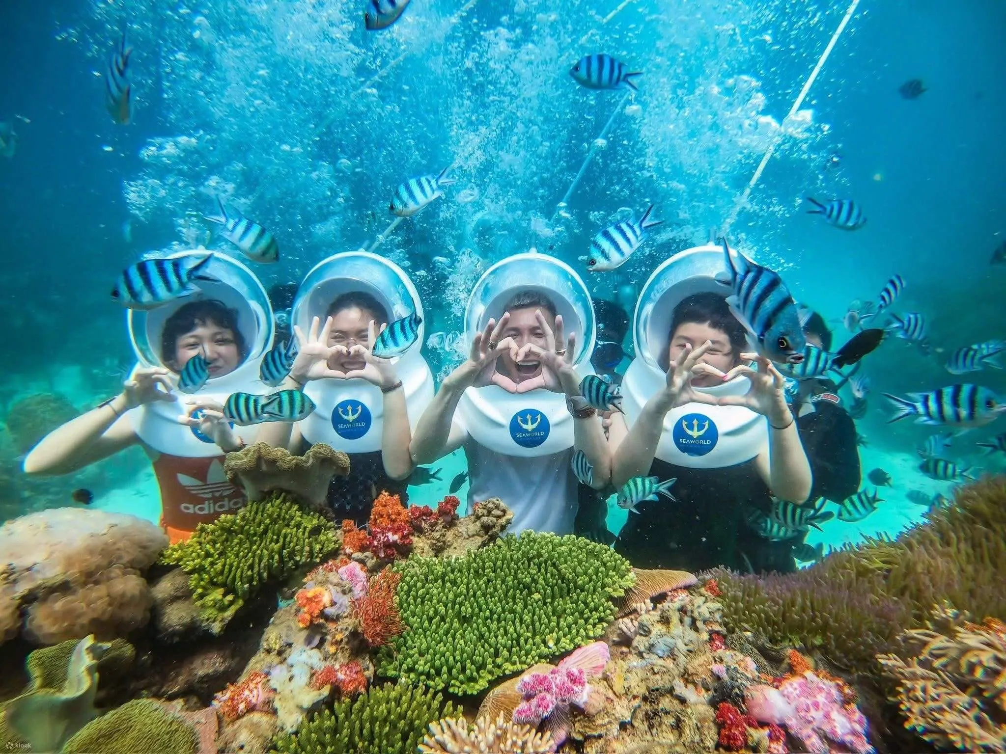 tour-di-bo-duoi-day-bien-nha-trang-4