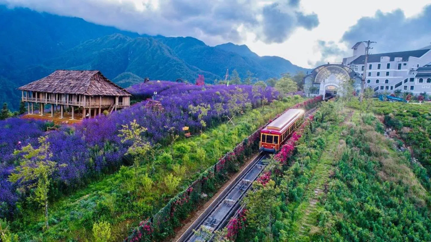 mua-xuan-thang-3-thang-5-co-phai-la-mua-cua-vuong-quoc-hoa-no-ruc-ro-sac-mau-tay-bac