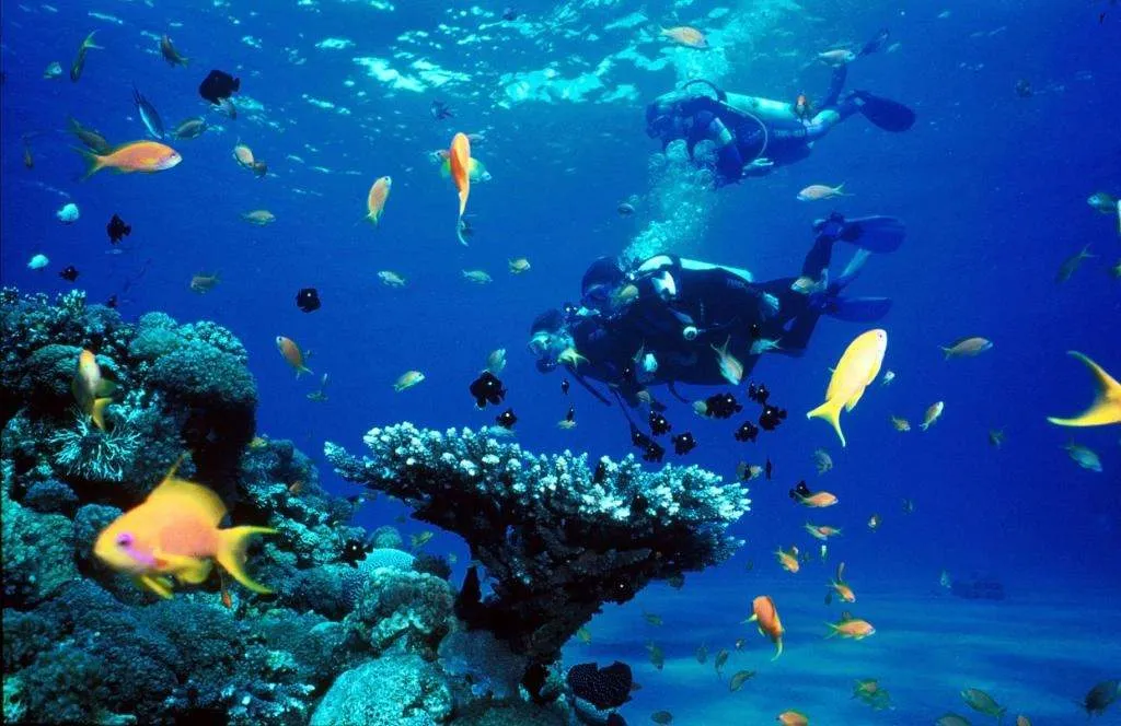 tour-lan-bien-nha-trang-2