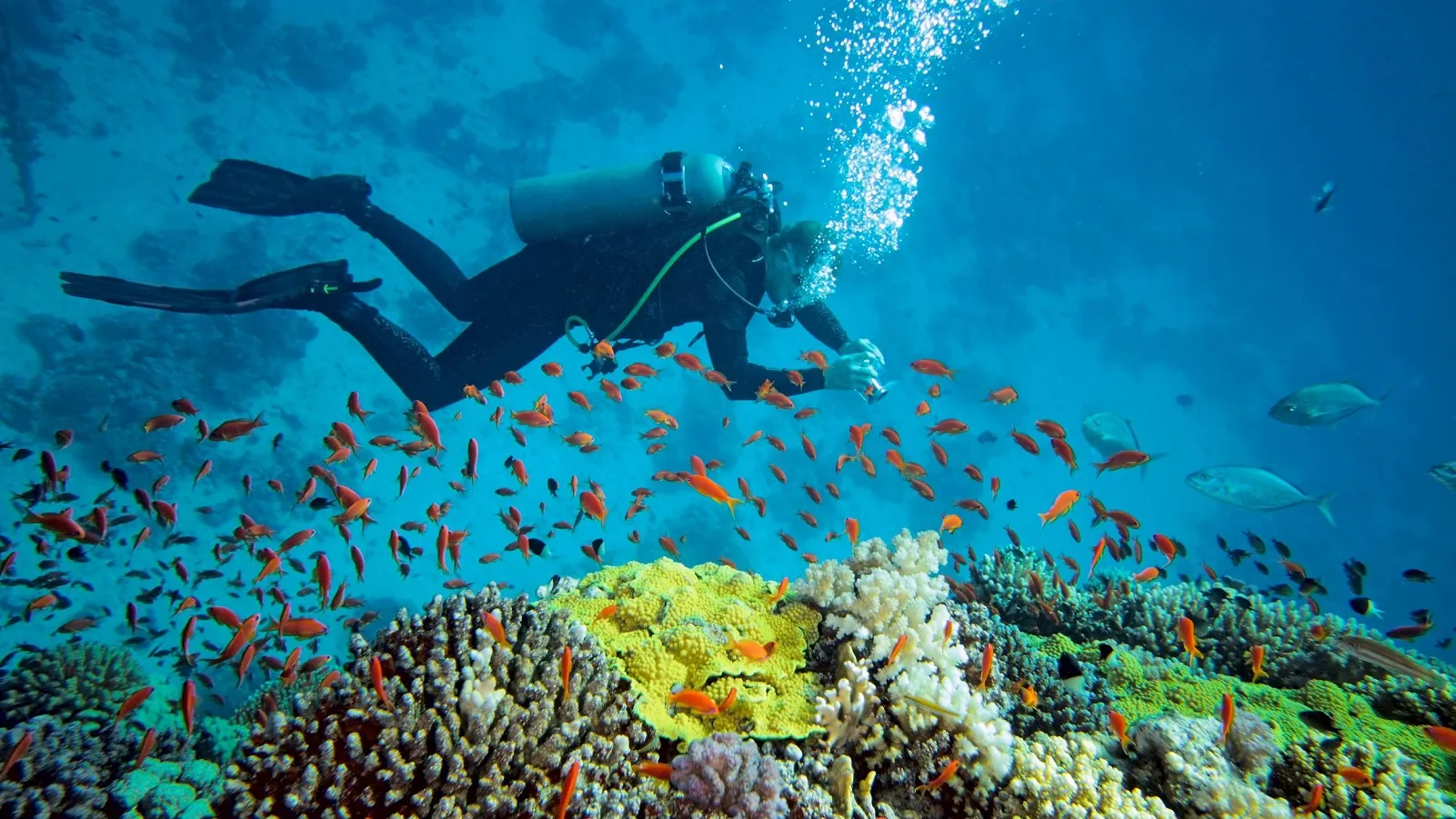 tour-lan-bien-nha-trang-3