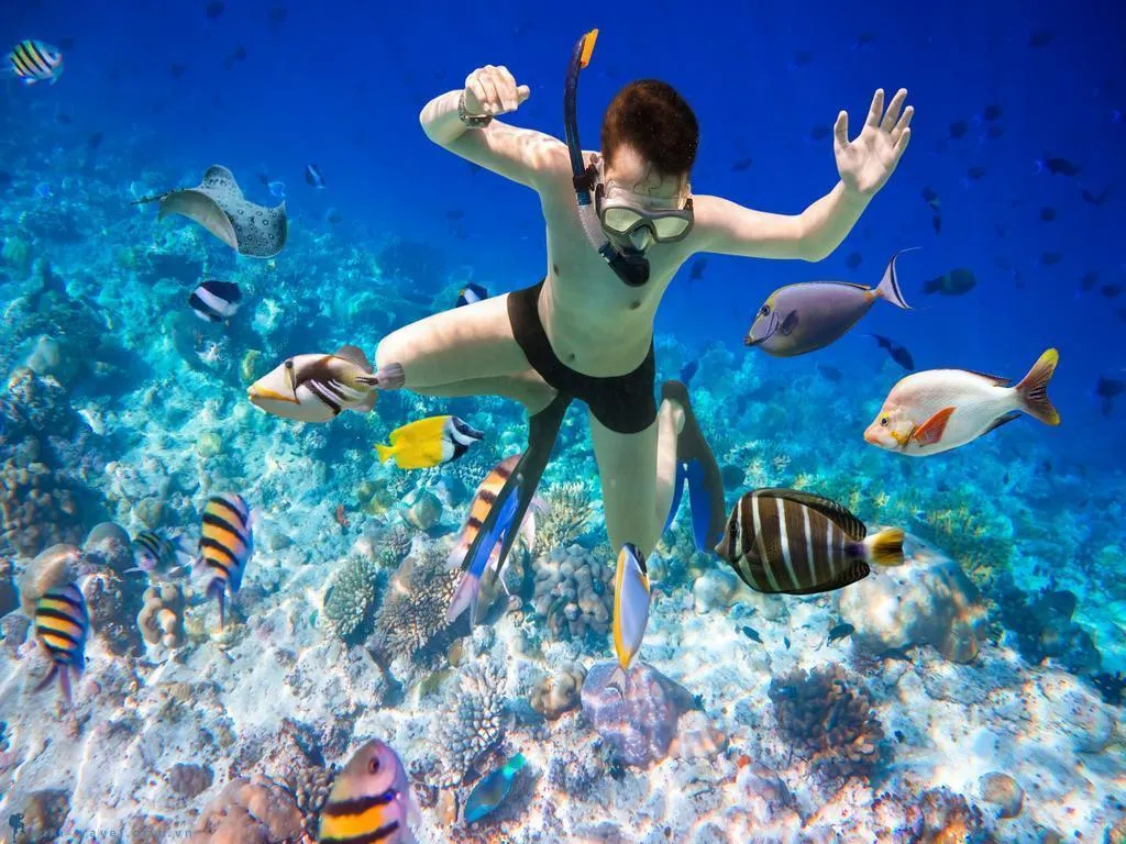 tour-lan-bien-nha-trang-6