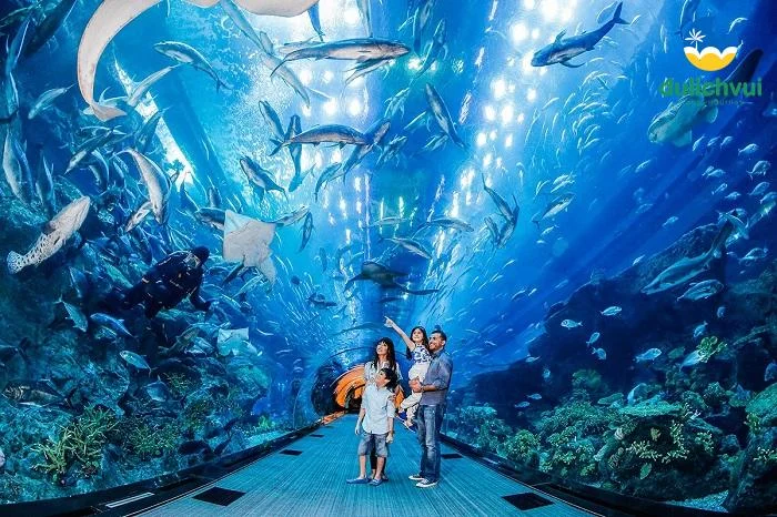 tour -nha-trang-1