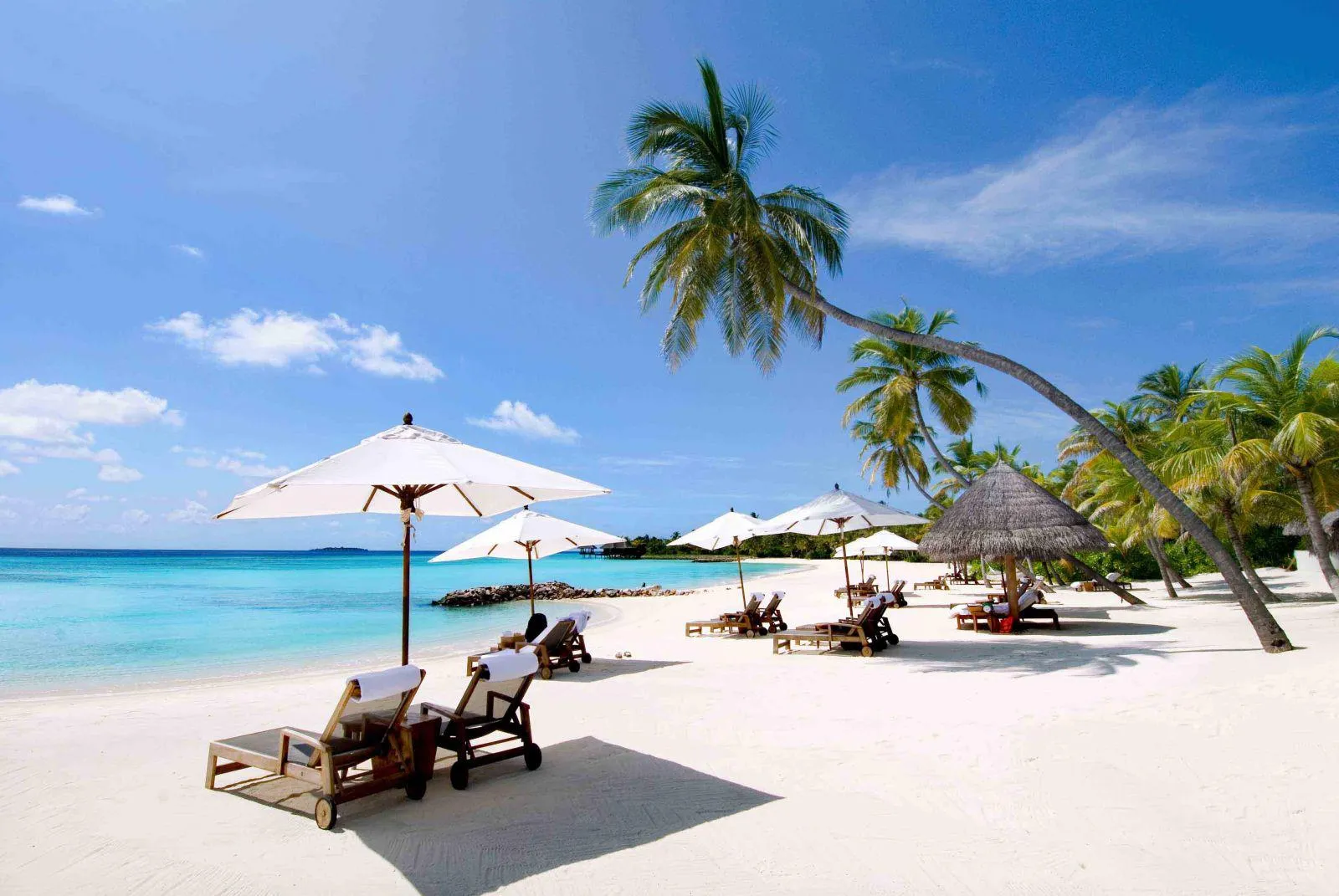 tai-sao-loai-hinh-tour-nha-trang-5-ngay-4-dem-don-tai-diem-hen-lai-duoc-du-khach-ua-chuong