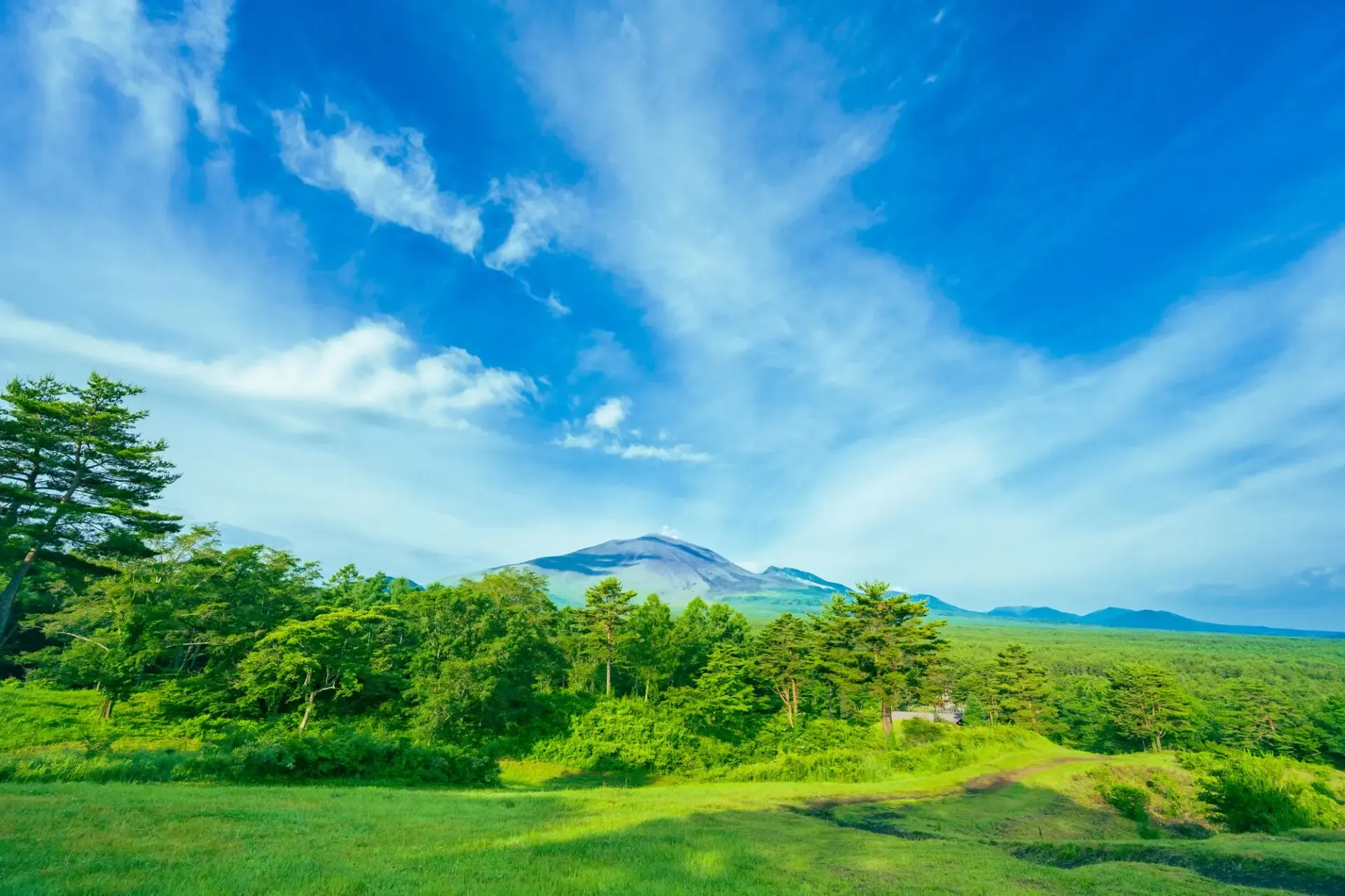 tai-sao-du-lich-nhat-ban-mua-he-xuat-phat-tu-tphcm-lai-la-xu-huong-len-ngoi-nam-2026
