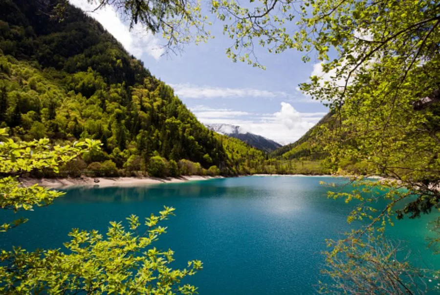 tour-thanh-do-cuu-trai-cau-cong-vien-gau-truc-lac-son-dai-phat (5)