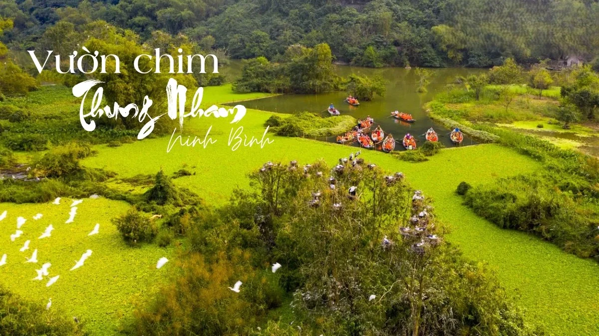 vuon-chim-thung-nham-ninh-binh-mekoong