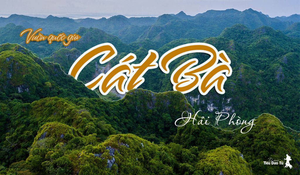 vuon-quoc-gia-cat-ba-o-dau-1024x597