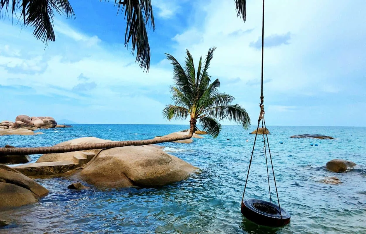 bai-cay-dua-nam
