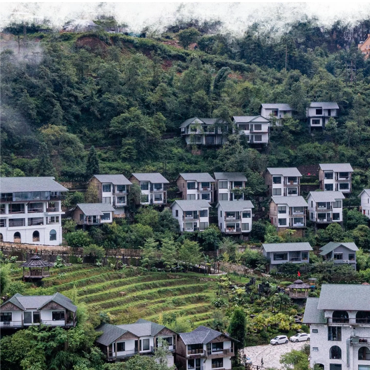 CatCat-Hills-Sapa-1