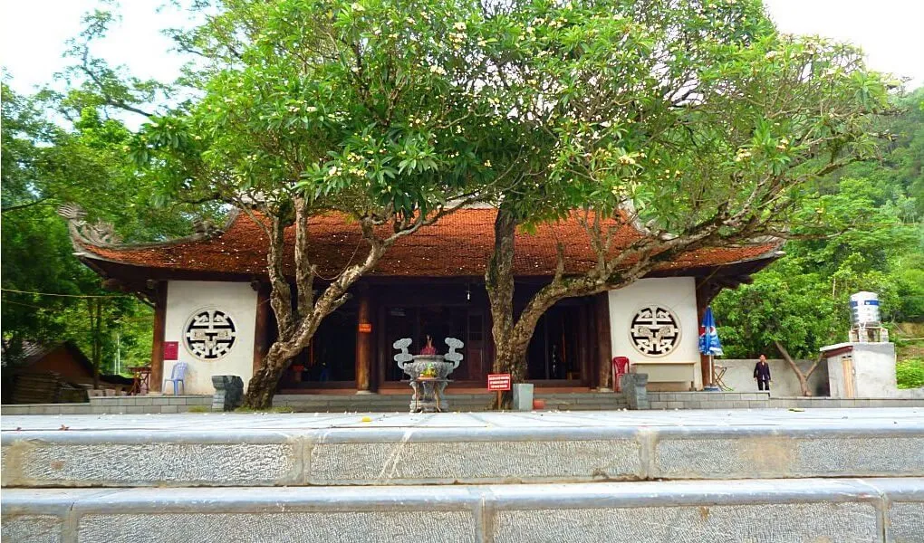 den-thong