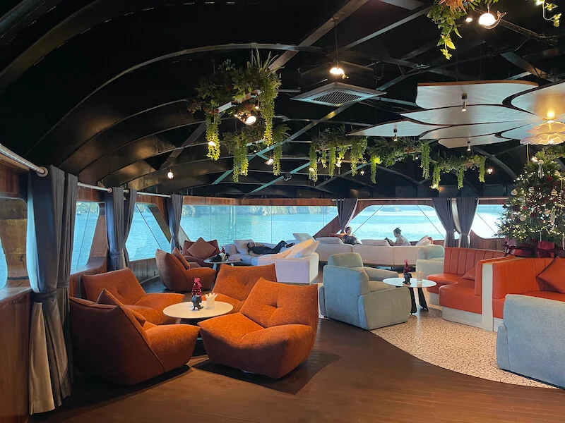 dolphin36