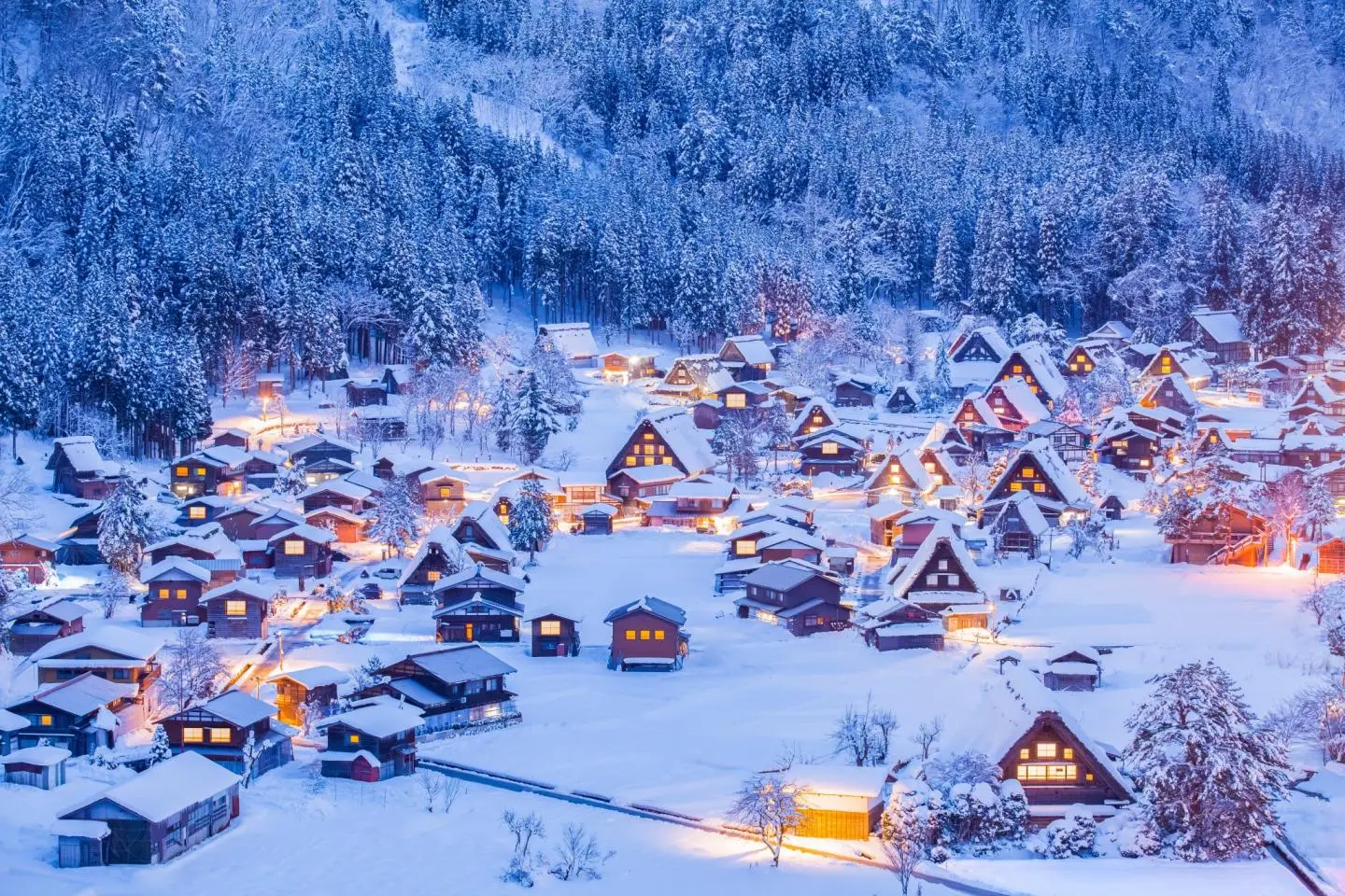 gifu-fairytale-winter-tour-shirakawa-go-191371
